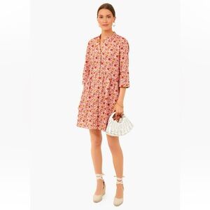 Tuckernuck shirt dress